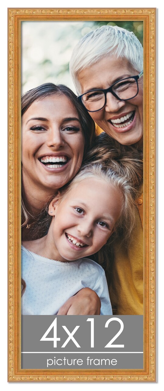 4x12 Museum-Quality Picture Frame with UV-Resistant Acrylic & Acid-Free Backing, Available in 4 Finishes - Gold, Silver, Bronze, and Black